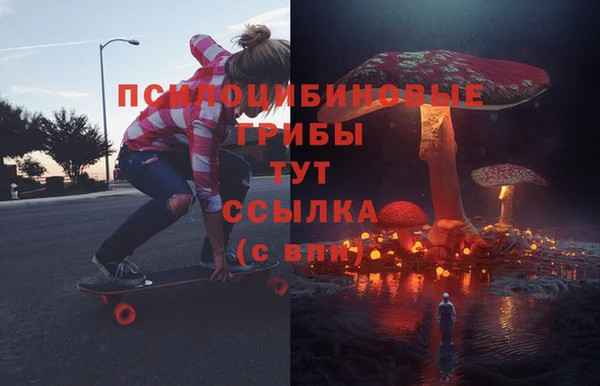 МДМА Елизово