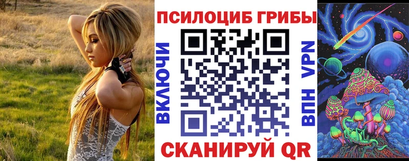 Псилоцибиновые грибы мицелий  наркошоп  Салаир 